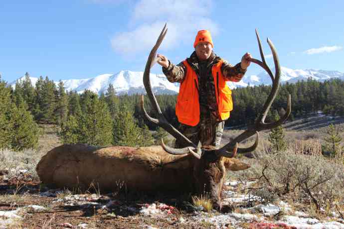 AEI Guide and Outfitting - Elk