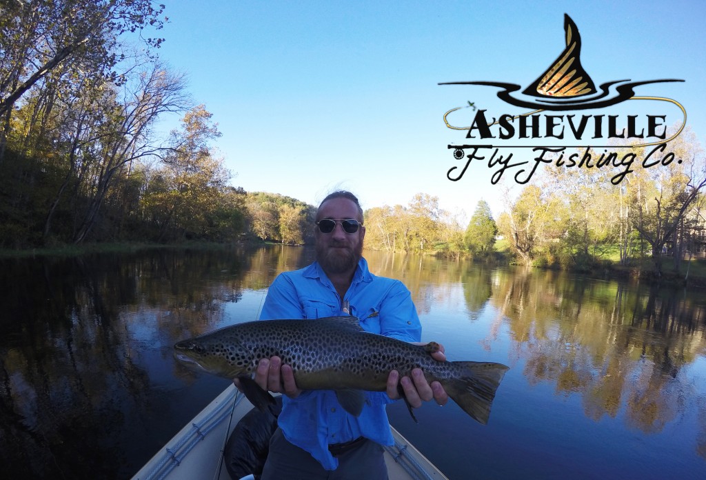 Fly Fishing in the South — Fly Fishing Tips, Asheville Fishing News, Asheville Fly Fishing Company — Asheville Fly Fishing Company, Asheville,  Western NC