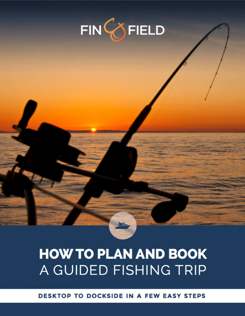 How to plan and book a guided fishing trip