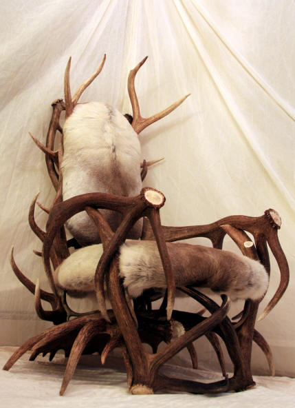 antler chair 038