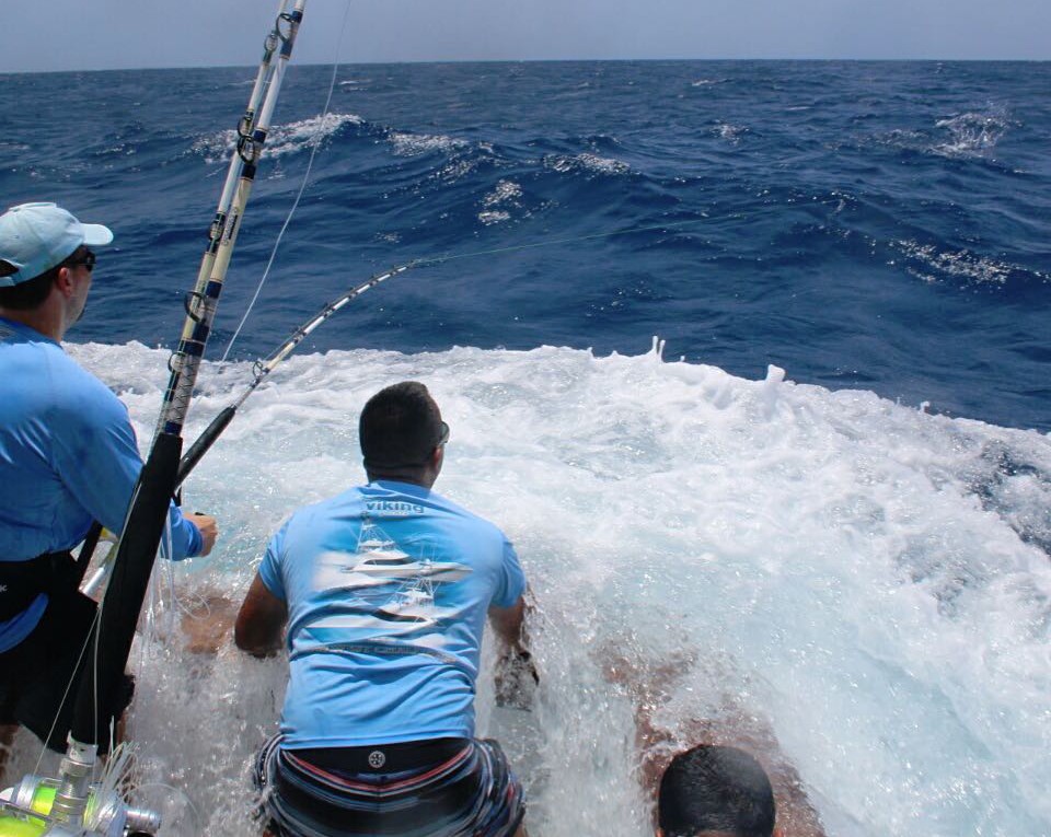 Fly on deck helping a client flight a blue marlin