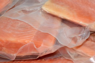 Frozen vacuum packed Salmon fillets in plastic ready to be packed in an insulated bag for a flight on an airplane