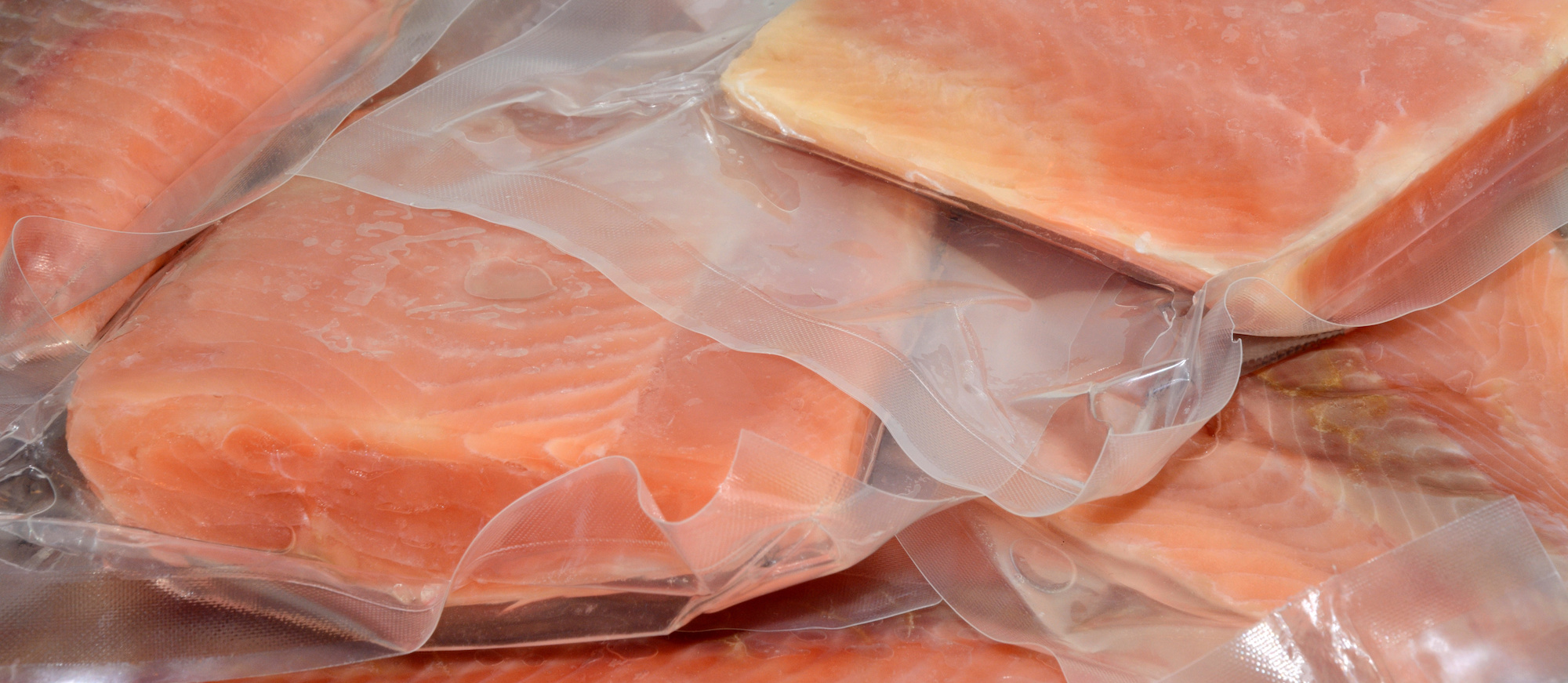Frozen vacuum packed Salmon fillets in plastic ready to be packed in an insulated bag for a flight on an airplane
