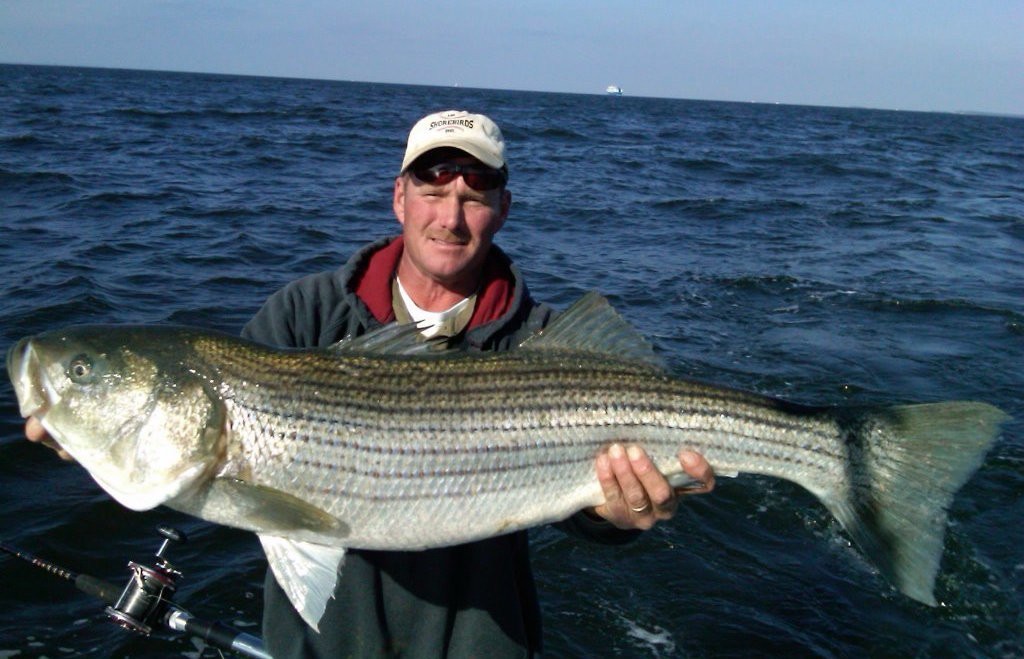 captain mark robbins with a large striped bass