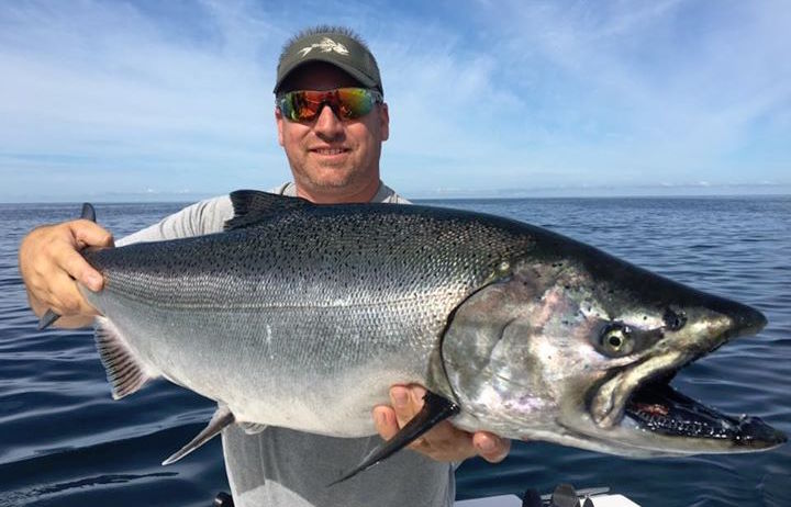 Nice salmon caught on Lake Erie with Good Times Sportfishing 