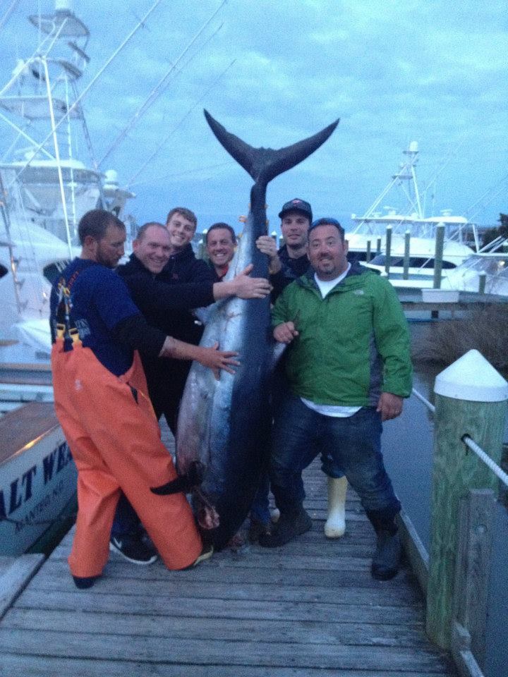 outer banks fishing charters with captain dennis endee on a salt weapin sportfisher for tuna 