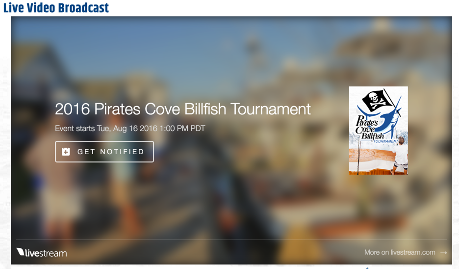 pirates cove billfish tournament live stream