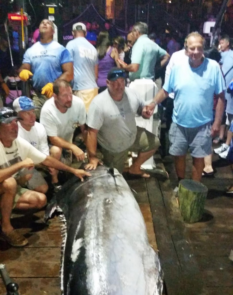 790 lb blue marlin at the white marlin open