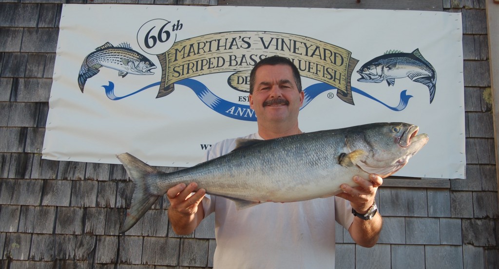 66th annual Martha's Vineyard fishing derby winning bluefish