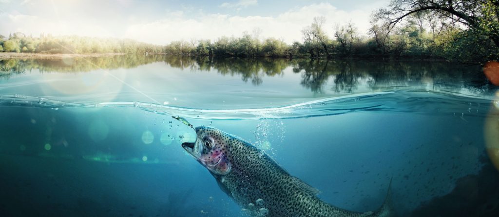 10 Fishing Tips for Beginners - Fin and Field Blog