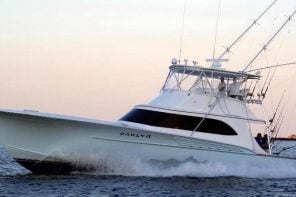 carly a outer banks fishing charter