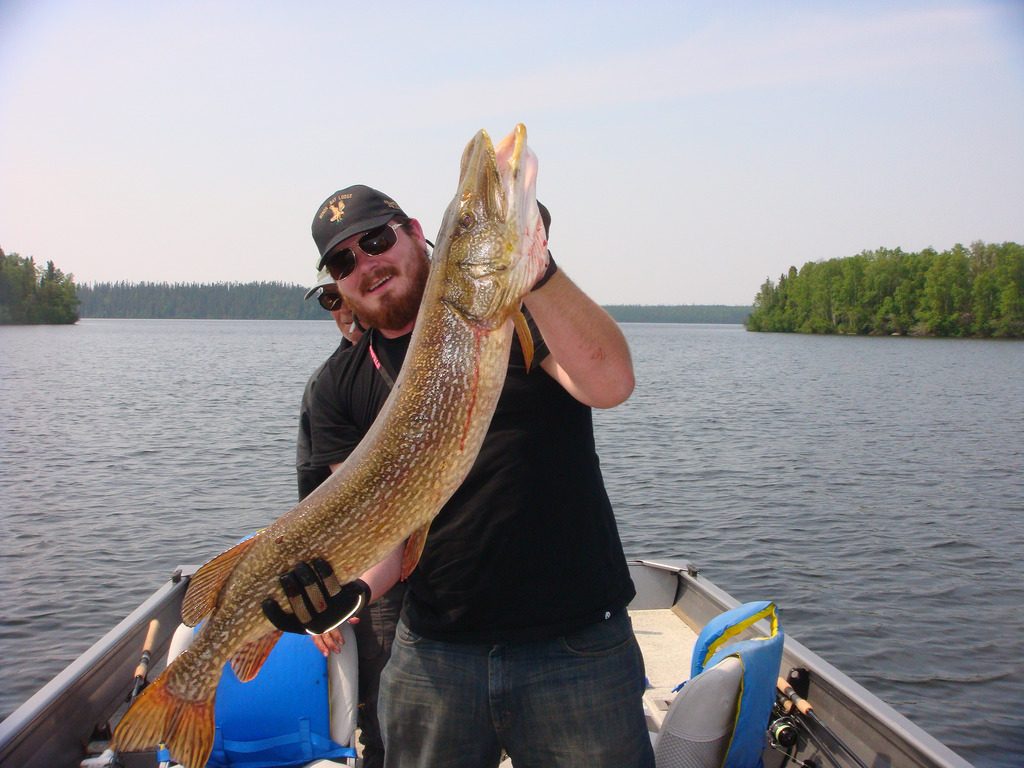 Big Muskie at Minor Bay Lodge