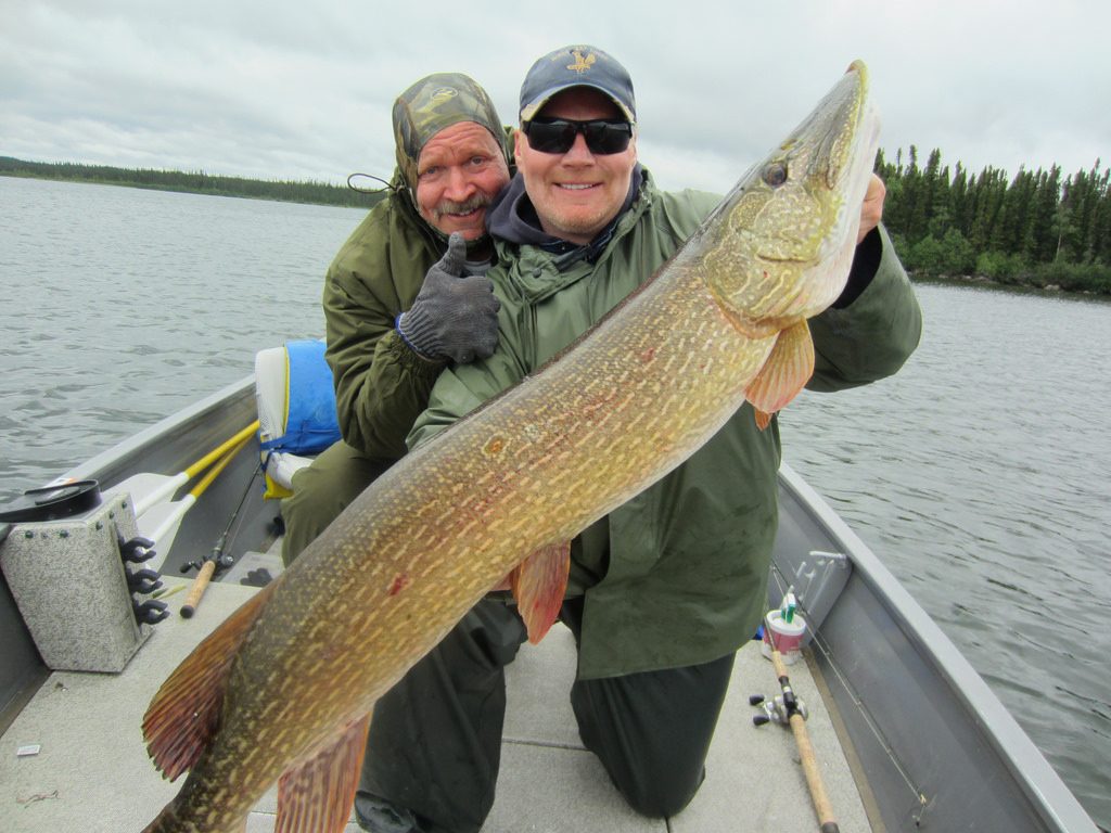 Trophy Muskie Fishing at Minor Bay Lodge