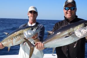 south paw fishing charters tuna fishing