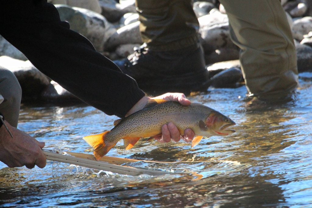 Wood River Ranch Fishing