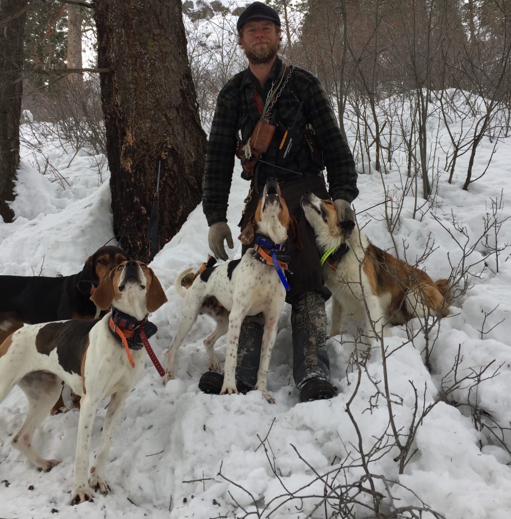 Hunting Mountain Lion with Hounds