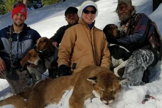 Mountain Lion Hunts