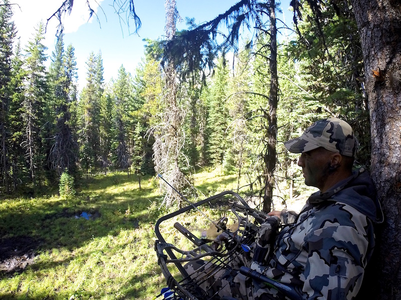 hunter in a Tree Stand Blind