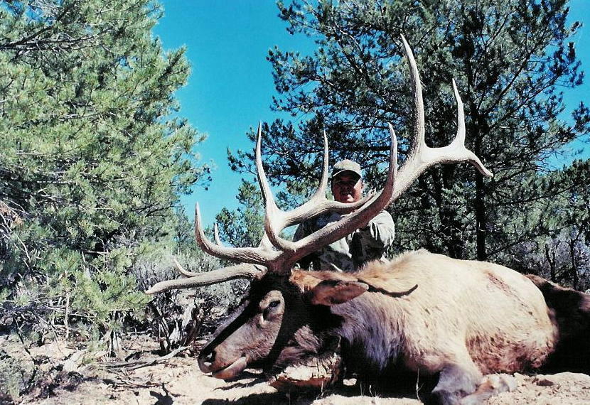 Big Chino Guide Service Elk