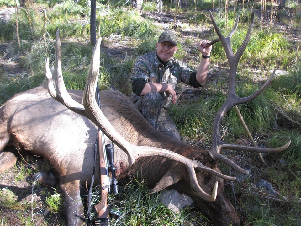 Elk with Elk Springs Outfitters