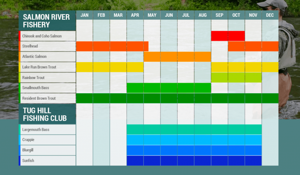 Tailwater lodge fishing calendar for the Salmon River