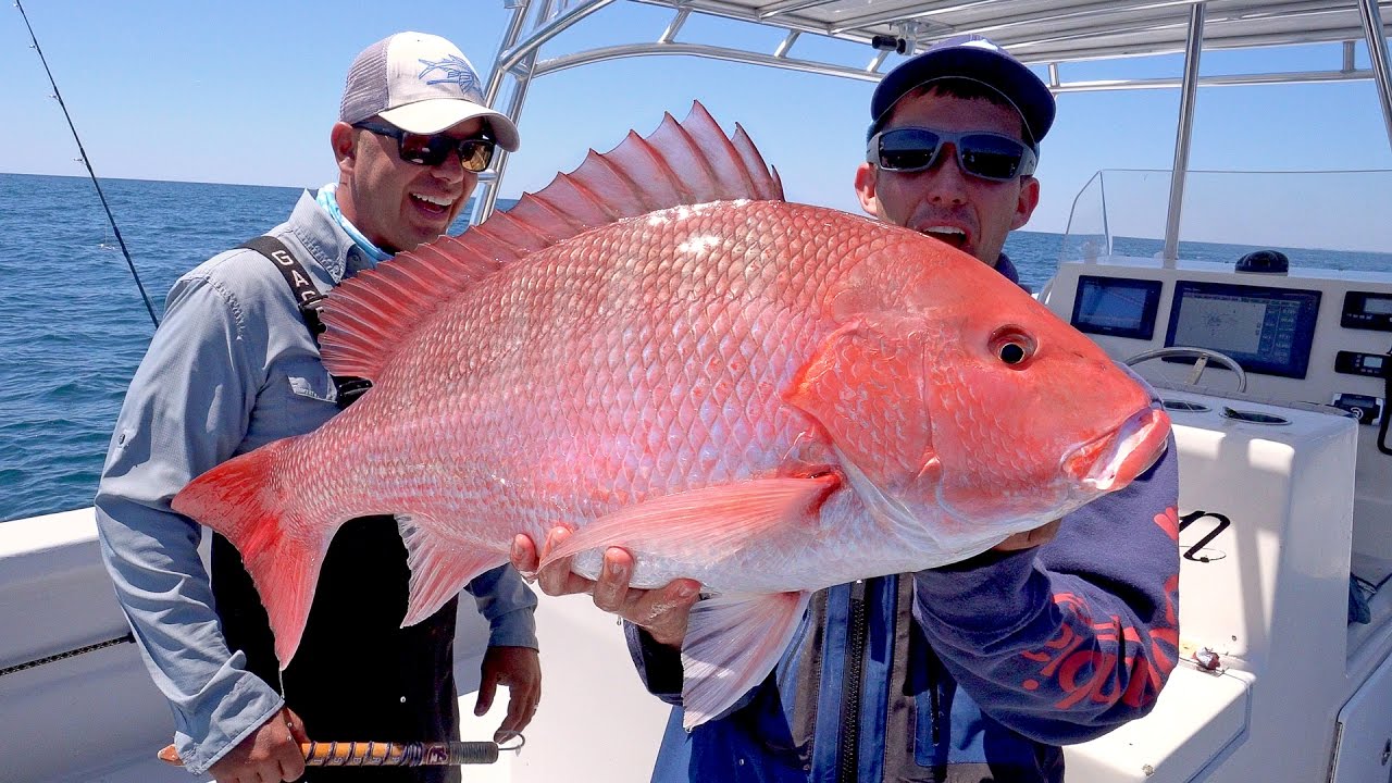 BlackitipH Fishing Giant Cobia and Monster Red Snapper 