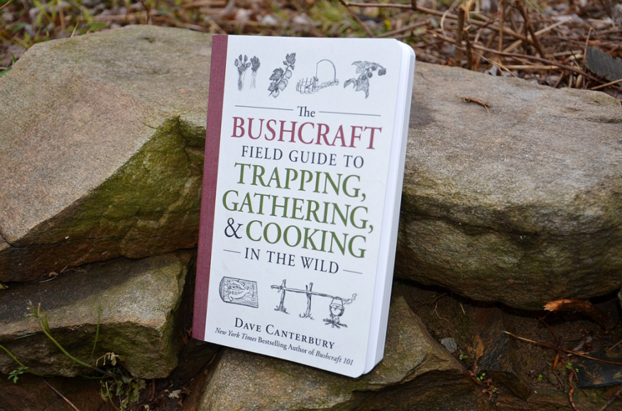 Review: The Bushcraft Field Guide to Trapping, Gathering, & Cooking ...