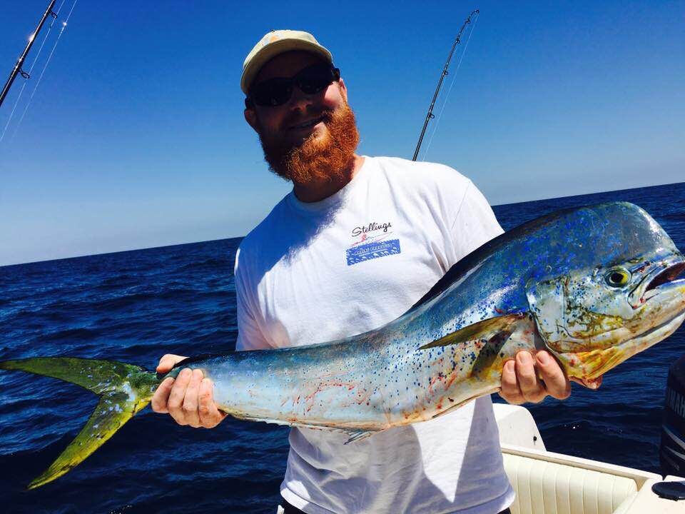 Hard Core Mahi Mahi Fishing - In New Jersey - Fin and Field Blog