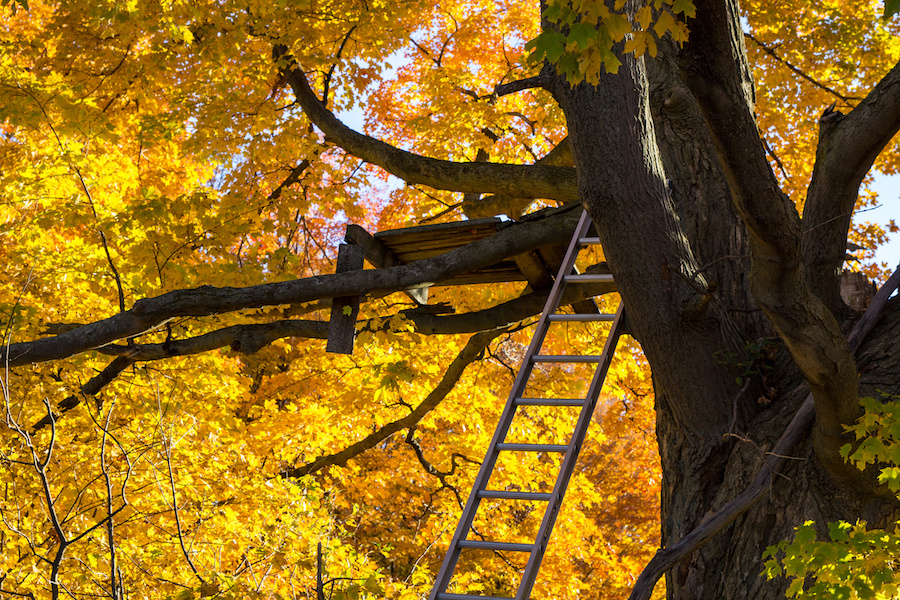 Summer hunting prep by pre-positioning blinds and stands