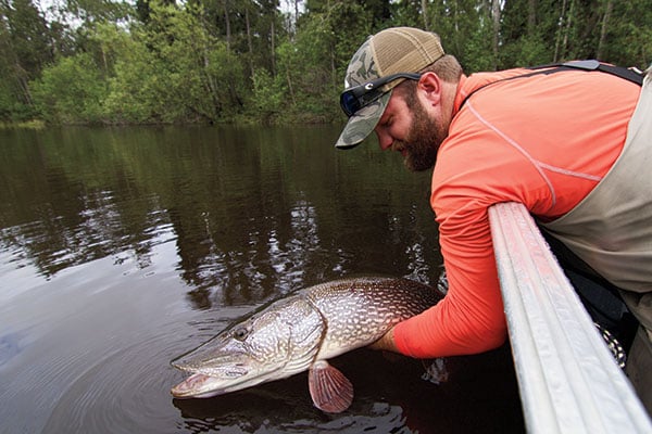 Best Pike Lakes in North America - Fin and Field Blog