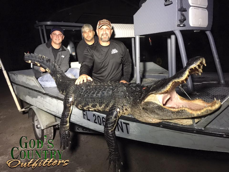 Gator Hunts with God's Country Outfitters