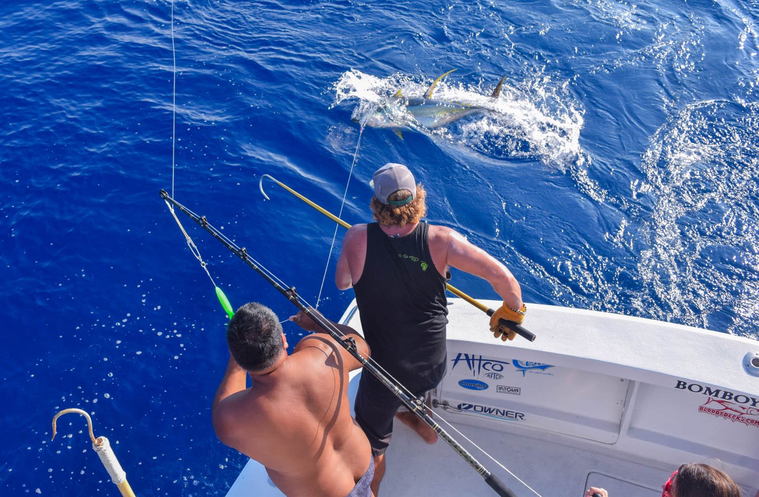 Ahi coming to gaff on Bomboy Llanes Charters