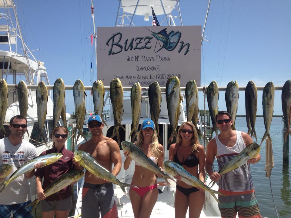 Islamorada Fishing with Buzz On