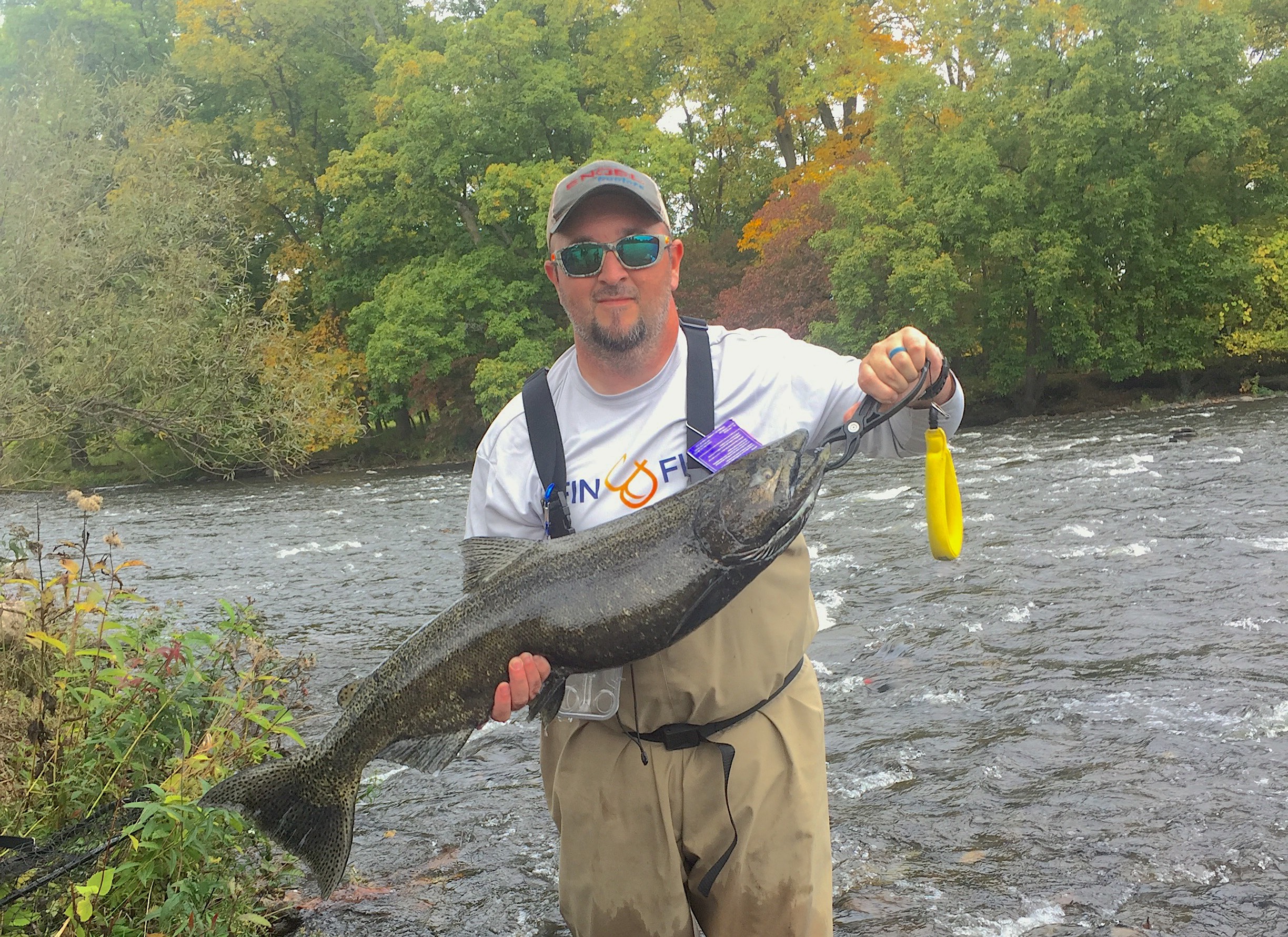 Salmon on the Douglaston Salmon Run