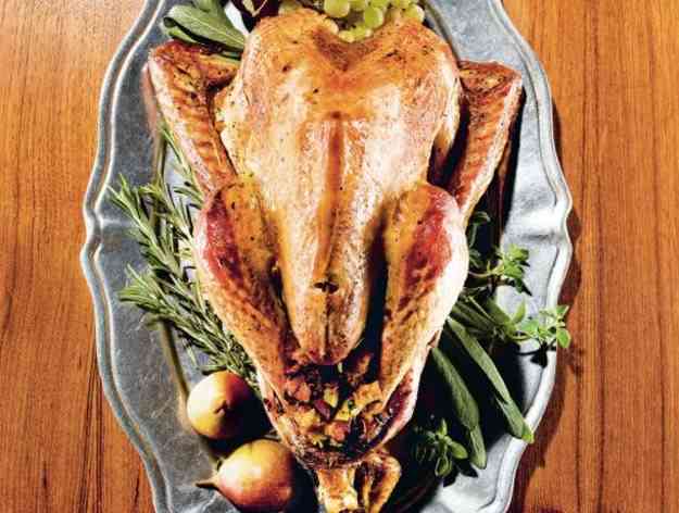 wild thanksgiving turkey