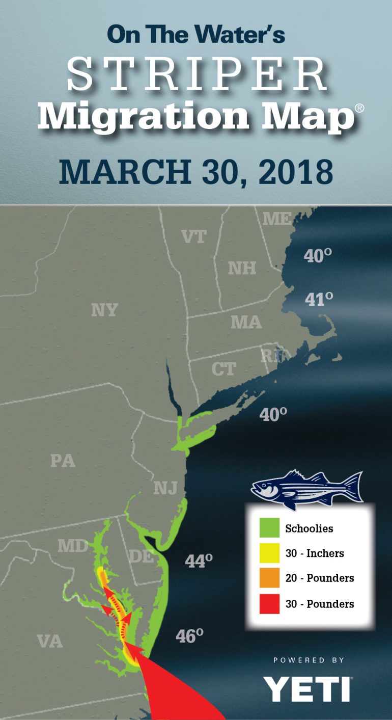 Striper Migration Map March 30 2018 Fin and Field Blog